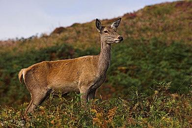 丧尸末日生存游戏《隔离区》 开启Kickstarter众筹