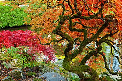 策略塔防三消游戏《喵喵大战邪物》现已登录Steam平台 2024年夏季推出